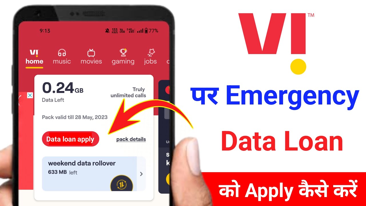 Vi Data Loan Number in 2025